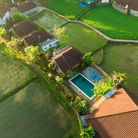 Ubud Glassy Villa By Pramana Villas Exterior photo